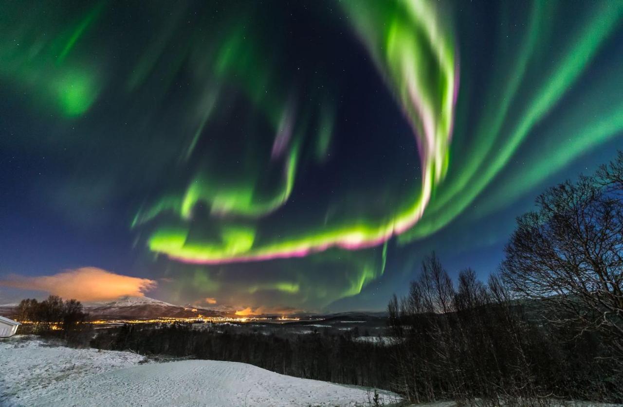 Aurora Borealis Observatory Silsand المظهر الخارجي الصورة